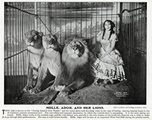 Images Dated 17th February 2017: Adgie and her trained lions 1905