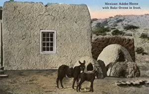 Mexico Collection: Adobe House - Mexico - Bake Ovens and Mules