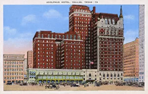 Adolphus Collection: Adolphus Hotel, Dallas, Texas, USA