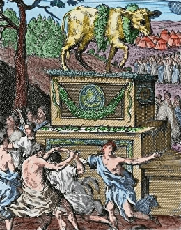 Adore Gallery: The Adoration of the Golden calf. Engraving. Colored