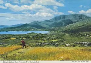 Adrigole Harbour, Beara Peninsula, West Cork by P O Toole