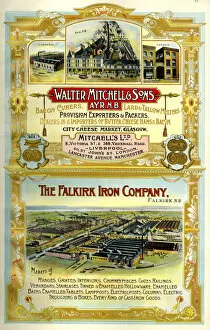 Adverts Gallery: Adverts, Walter Mitchell & Sons, The Falkirk Iron Company