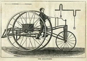 Velocipede Prints: The Aellopodes Velocipede