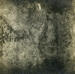 Images Dated 23rd August 2011: Aerial photograph of Bayernschloss, Germany, WW1