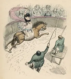 Aerial View / Equestrienne