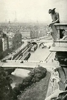 Aerial view from Notre Dame Cathedral, Paris, France