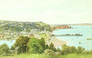 Aerial view of Teignmouth, Devon