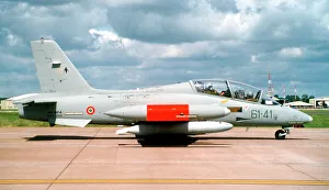Aermacchi MB-339A MM55058 - 61-41