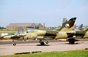Albatros Collection: Aero L-39 Albatros 5015