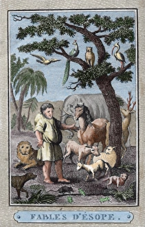 Fable Collection: Aesop (c. 620A?i?564 BC). Ancient Greek fabulist. Aesop s