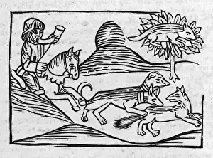 Aesop / Fox and Cat