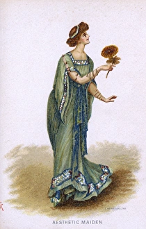 Images Dated 19th January 2017: Aesthetic Dress 1884