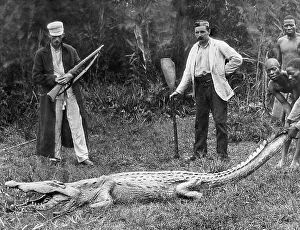 Africa Big Game Hunter pre-1900