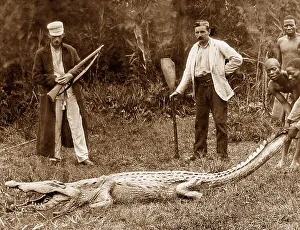 Africa Big Game Hunter pre-1900