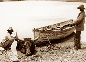 Africa Cape Colony pre-1900