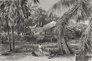 Storage Collection: Africa. Congo. Courtyard of a factory in Banana