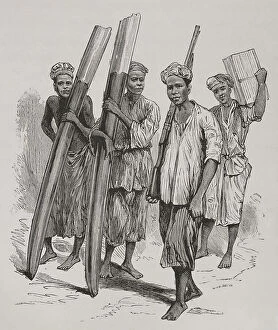 Africans Collection: Africa. Congo. Ivory porters