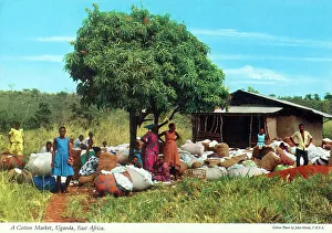 Sellers Prints: Africa - Cotton Market, Uganda