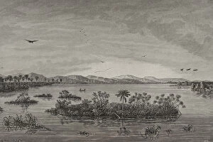 Morton Collection: Africa. Floating islands in the Upper Congo
