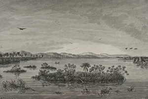 Aquatic Prints: Africa. Floating islands in the Upper Congo