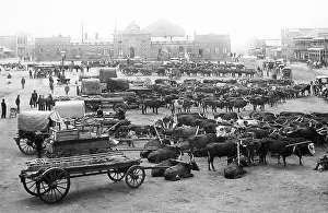 Africa Johannesburg Market Square pre-1900