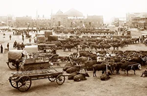 Africa Johannesburg Market Square pre-1900
