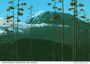 Snow Capped Prints: Africa - Mount Kilimanjaro, Tanzania