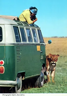 Lioness Prints: Africa - Photographic Safari - VW Combi Microbus