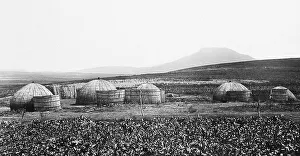 Zulus Prints: Africa Zulu Kraal near Amajuba Hill pre-1900