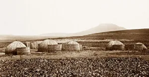 Africa Zulu Kraal near Amajuba Hill pre-1900