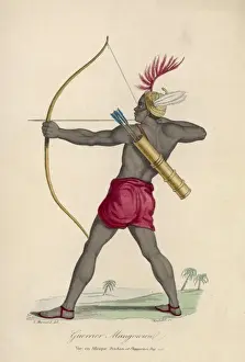 African Bowman