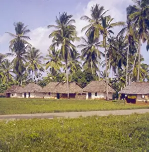 Zanzibar Prints: African Houses
