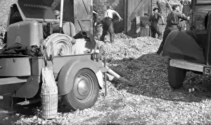 Hounslow Prints: Aftermath of a fire, Fire Force Area 34, WW2