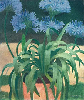 Textured Prints: Agapanthus