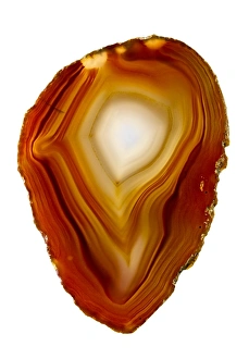 Agate Gallery: Agate