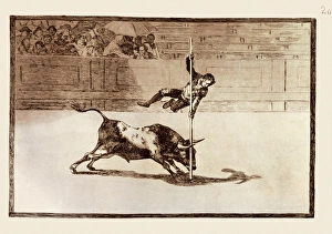 Agility Gallery: The agility and audacity of Juanito Apinani in the ring at M