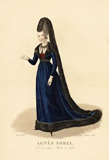 Brocade Gallery: Agnes Sorel, mistress of King Charles VII