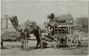 Agra, India - Fabulous Double-decker camel-drawn wagon