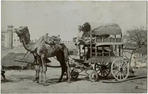 Spoked Prints: Agra, India - Fabulous Double-decker camel-drawn wagon