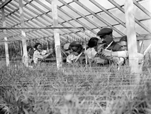 Agricultural Students