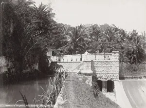 Agriculture, irrigation, Spanish town Jamaica
