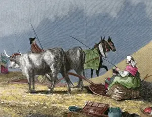 Labor Prints: Agriculture. Threshing. Engraving by R. Milliet. 19th centur