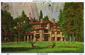 Deer Collection: Ahwahnee Hotel, Yosemite National Park, USA