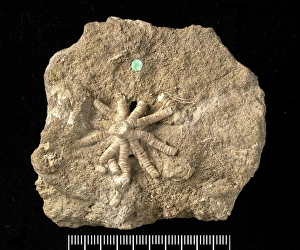 Images Dated 2003 May: 27 May 2003