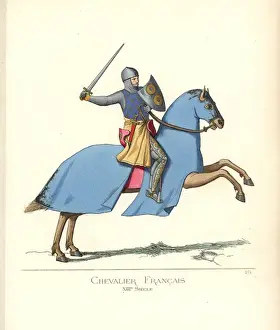 Tunic Prints: Aimery de Guillaume Berard, French knight, 13th century