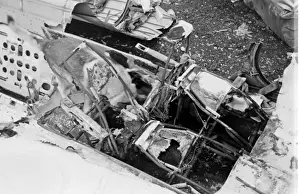 Air crash investigation sniffer dog