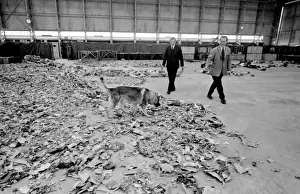 Air crash investigators with sniffer dog