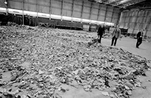 Air crash investigators with sniffer dog