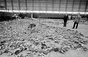 Air crash investigators with sniffer dog