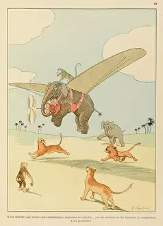 Airborne Animals